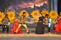 Naayak Movie Audio Launch Photos